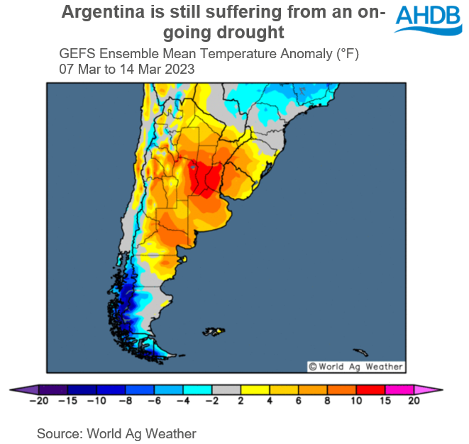 A map showing Argentina's weather